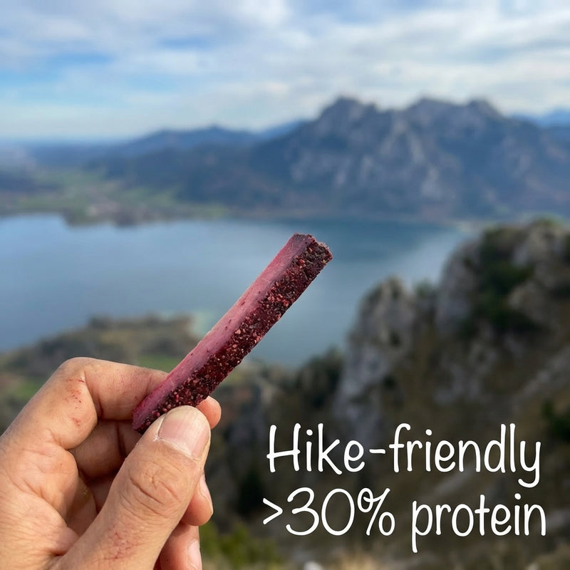 A hand holding an Anna Meru vegan smoked snack stick with over 30% protein, set against a stunning view of an alpine lake and mountains.